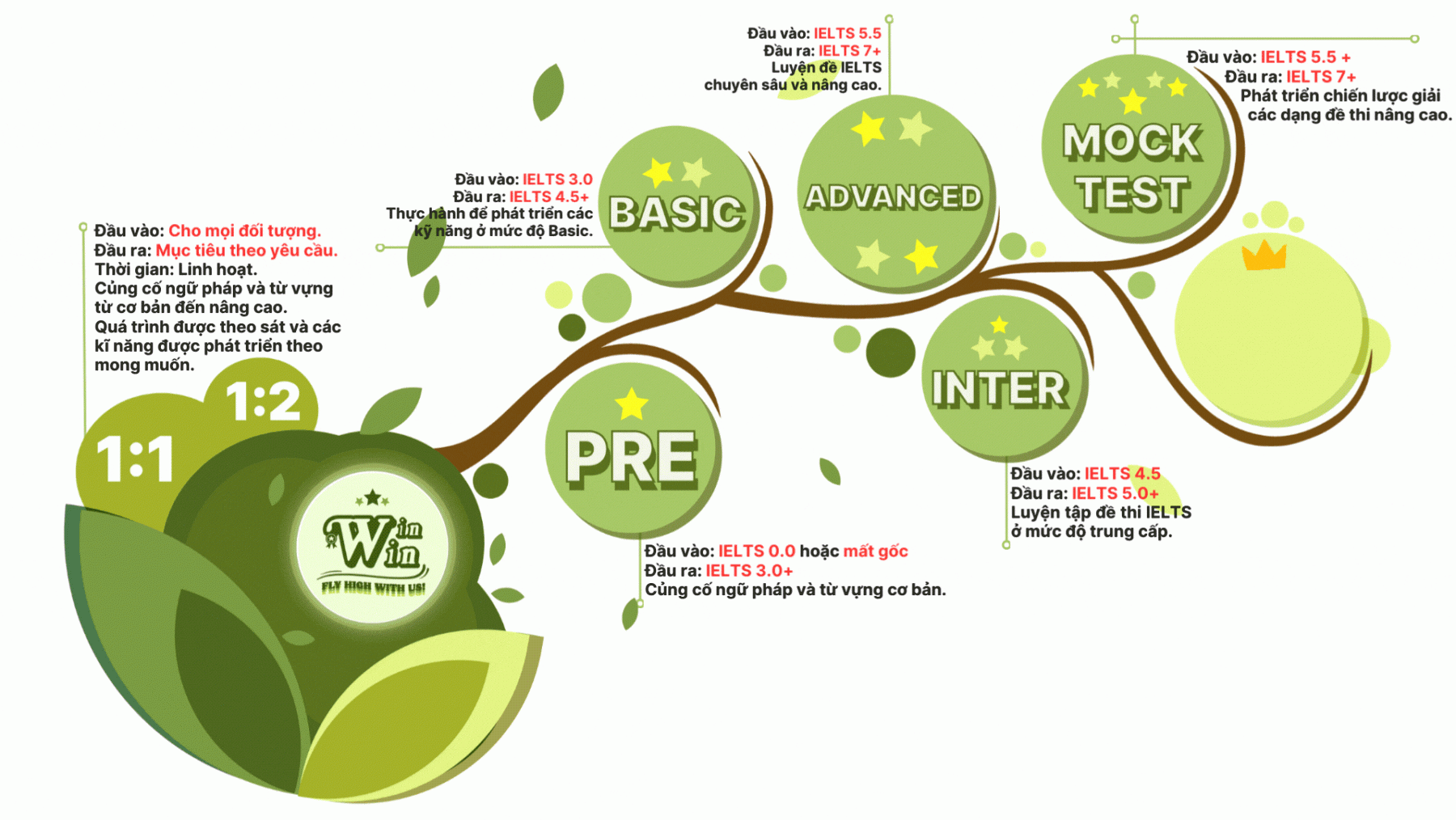 Các khóa học IELTS tại WinWin